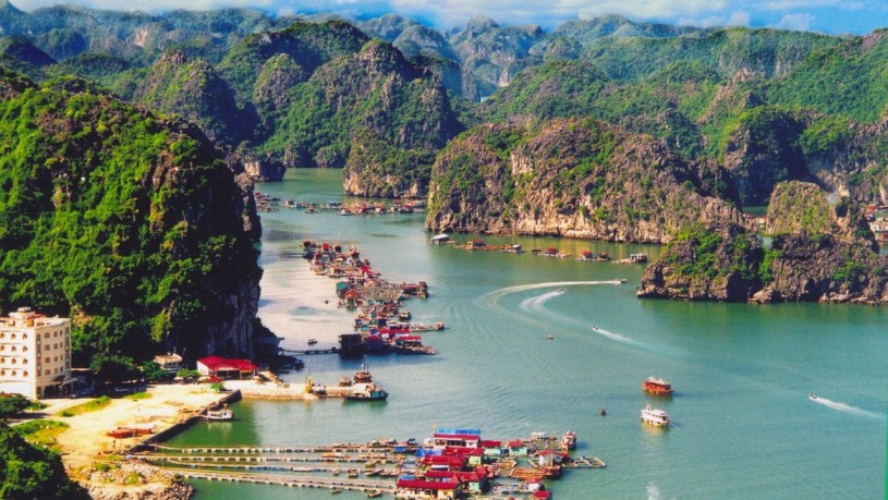 Cat ba Gallery