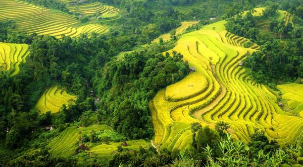 Ha Giang Vietnam, Ha Giang tours, Ha Giang Travel Guide