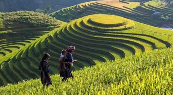 Sapa, Fansipan, sapa tours, travel with Green Discovery Indochina