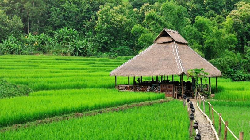 Kamu Lodge